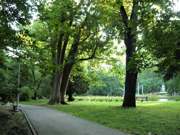 Sub Arini Park